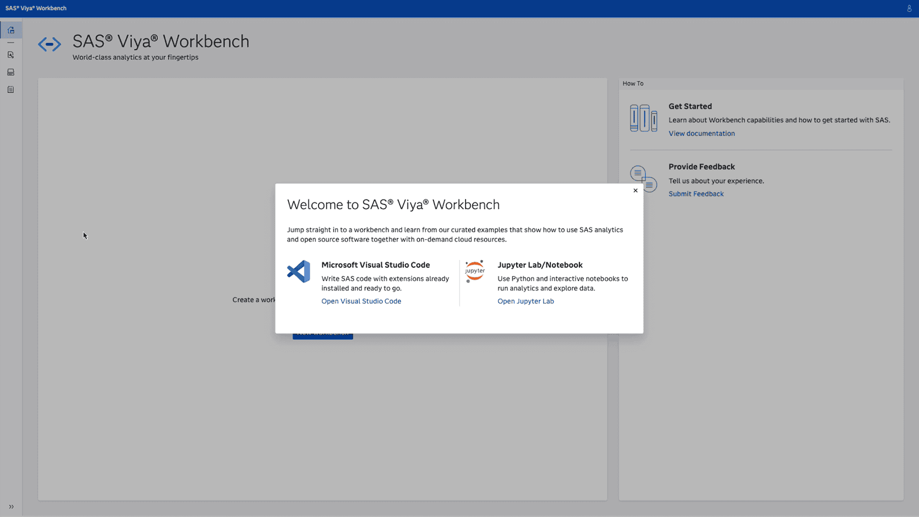 SAS Viya Workbench screenshot showing ability to run SAS 9 and SAS Viya Together